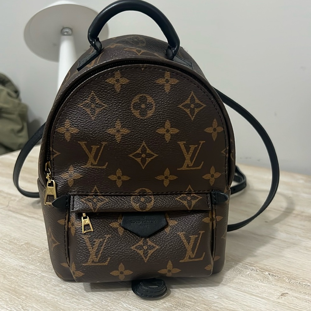 Louis Vuitton Palm-springs mini backpack